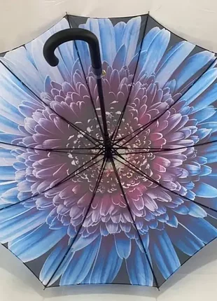 Зонт, зонт трость, с рисунком, 10 спиц карбон, анти-ветер, 7073