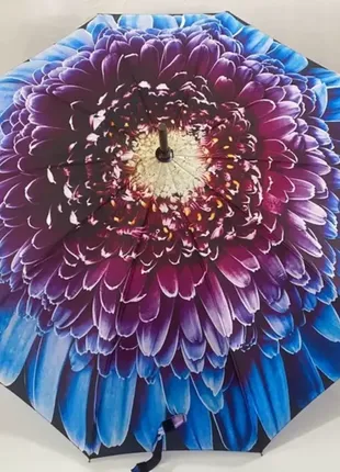 Зонт, зонт трость, с рисунком, 10 спиц карбон, анти-ветер, 7073