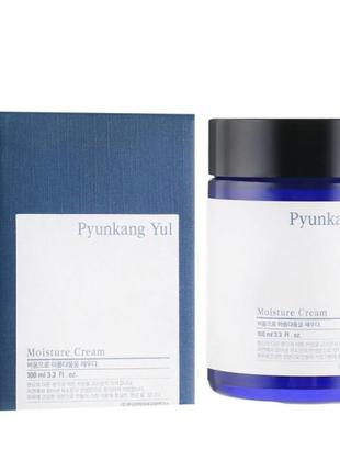 Увлажняющий крем для лица pyunkang yul moisture cream 100ml