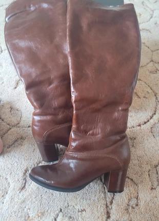 Осінні сапоги