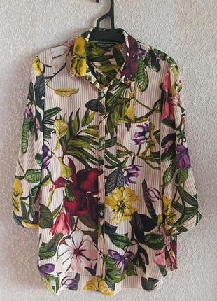 Жіноча блуза