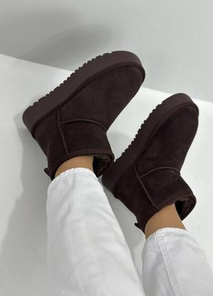 Уггі жіночі натуральна замша колір шоколад