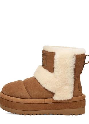 W classic chillapeak ugg