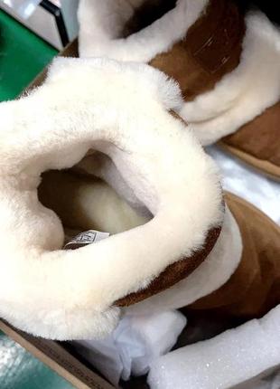 W classic chillapeak ugg