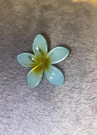 Заколка гавайская