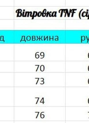 Ветровка the north face