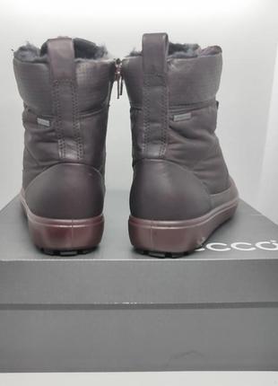 Кожаные теплые ботинки ecco gore tex оригинал 5
