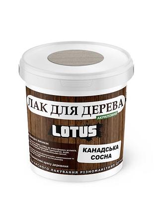 Цветной лак для дерева lotus глянец канадская сосна 0.5 л