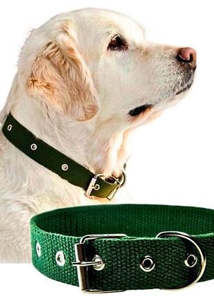 Брезентовий подвійний нашийник для собаки (ширина 30 мм довжина 60 см) хаки посилений з однією пряжкою