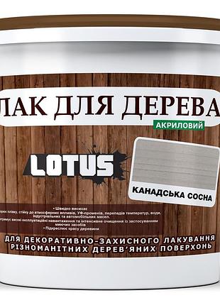 Цветной лак для дерева lotus глянец канадская сосна 1 л