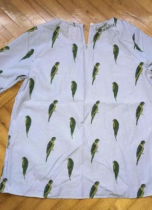 Lieblingsstuck-смугаста блуза в принт папуги, р.-422 фото