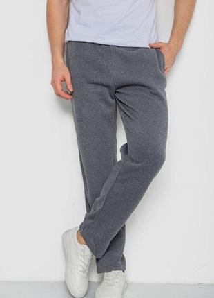 Спортивные штаны мужские на флисе, цвет серый, 244r0025