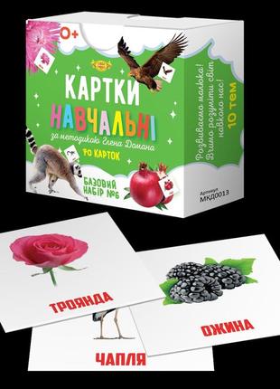 Картки навчальні глена домана №6 майстер mkd0013 укр