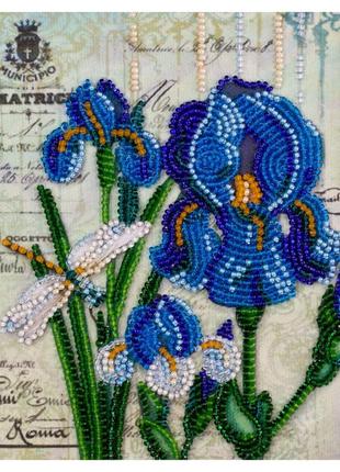 Набір для вишивання бісером "ультрамарин am-181 на натуральному полотні