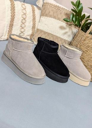 Зимові вуги чорні