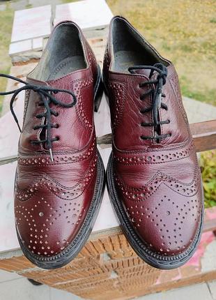 Кожаные брендовые туфли advora 2
