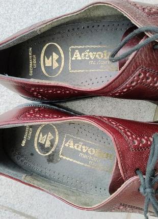 Кожаные брендовые туфли advora 7