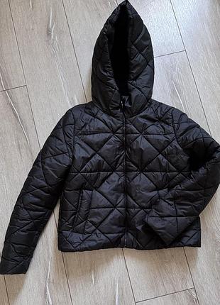 Куртка деми