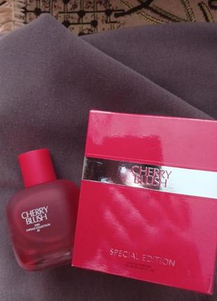 Terre dhermes eau de toilette 100ml тестер