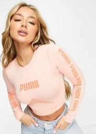 Бесшовный кроп топ, реглан, лонгслив укороченный puma evoknit1 фото