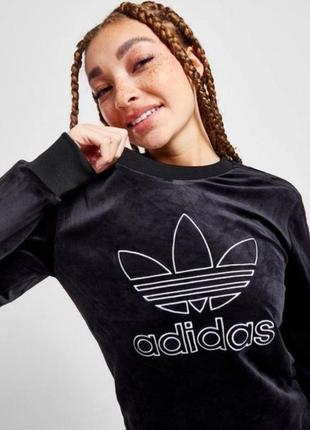 Світшот adidas жіночий велюровий  з лого стильний та тепленький