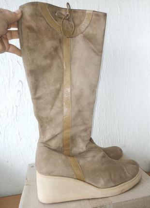 Високі сапоги, замша