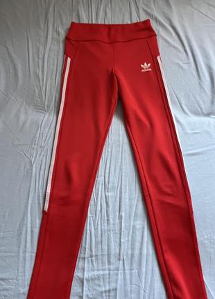 Спортивные штаны