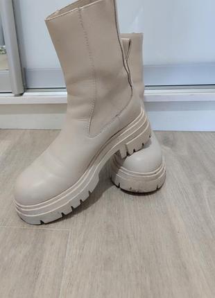 Челси zara