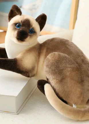 Сиамский кот,20 см