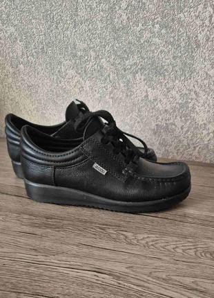 Кросівки жіночі шкіряні чорні ecco р.39