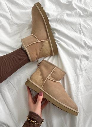 Ugg classic mini brown premiun