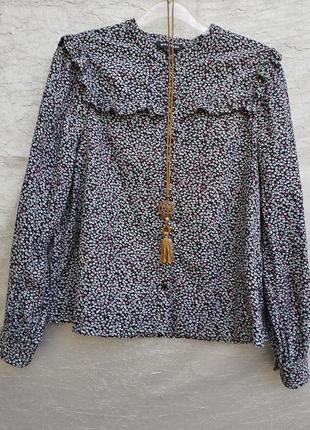 Блуза whistles