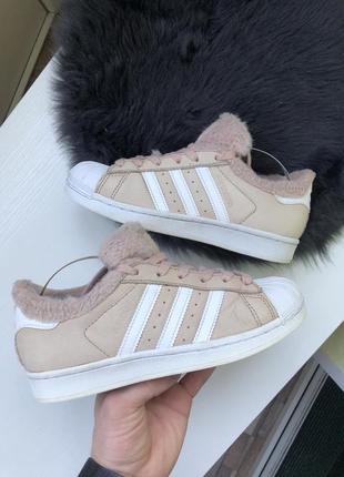 Кроссовки adidas superstar