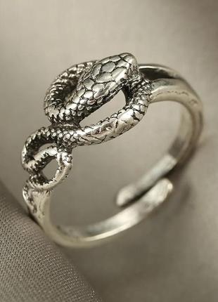 Кільце змія 2