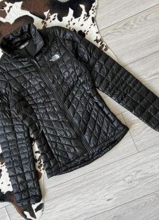 Демисезонная куртка The the north face face чорні
