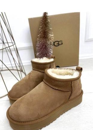 Ugg угі на платформі