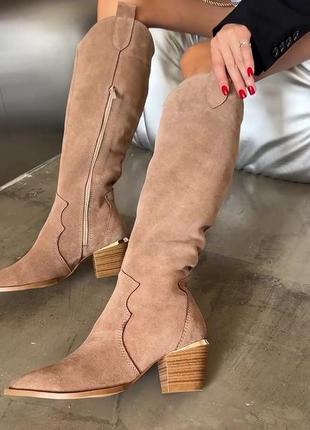 Круті чоботи козаки/ковбойки на змійці