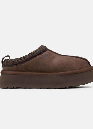 Уггі ugg Сапоги tasman