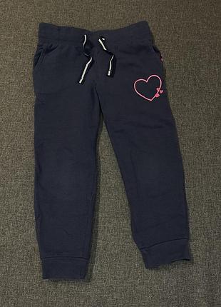 Брюки на девочку, джоггеры 2-4 р