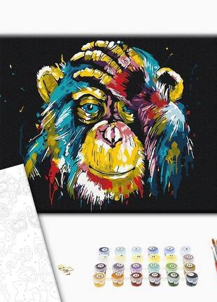 Картина по номерам красочная шимпанзе  brushme 40 х 50  bs257142 фото