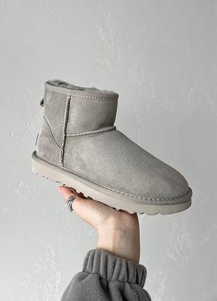 Ugg mini beige premium 6
