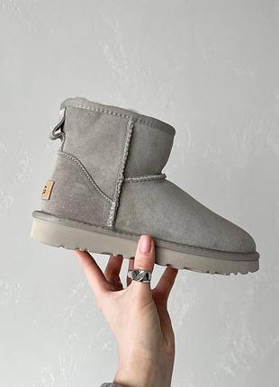 Ugg mini beige premium 2
