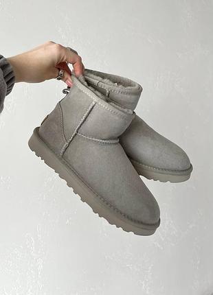 Ugg mini beige premium 7