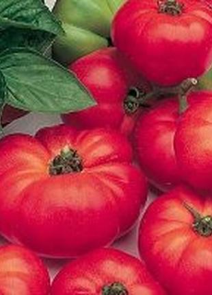 Семена томата "марманде"