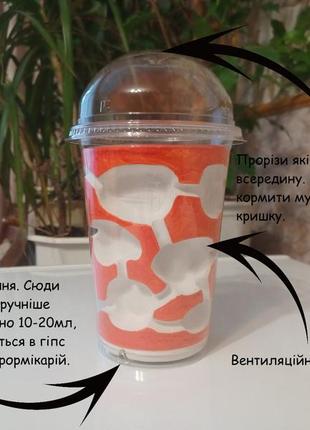 Мурашина ферма в склянці (повний комплект), гіпсовий формікарій + мурахи messor structor + корм!