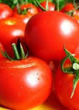Семена томата "любимый"