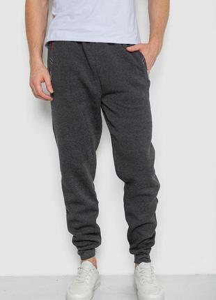 Спортивные штаны мужские на флисе, цвет темно-серый, 244r41329