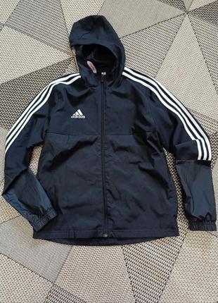 Кофта спортивна Наборы 13-14р