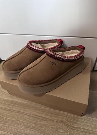 Ugg tazz