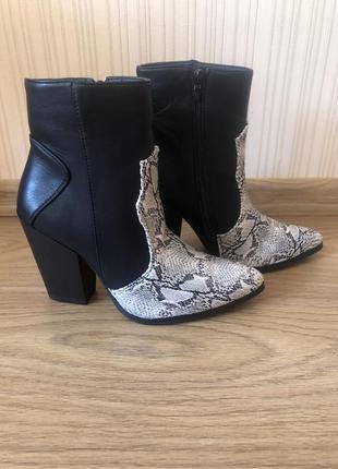 Осінні чоботи козаки з принтом пітон